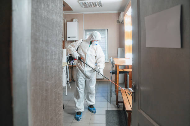 Best Residential Mold Inspection & Testing  in Philadelphia, PA